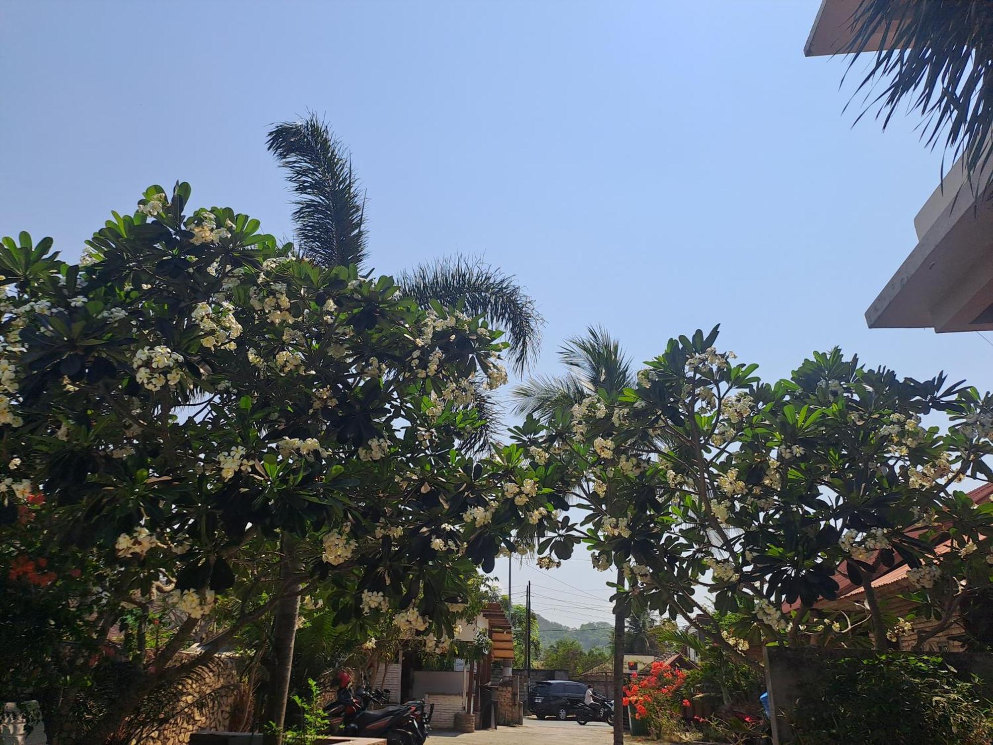 Kuta  Kutabay Homestay المظهر الخارجي الصورة